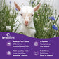 Meyenberg Whole Powdered Goat Milk, 16 Ounce (Pack of 3)