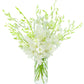 KaBloom Exotic Perla White Orchid Bouquet - 20 Fresh Dendrobium Orchids with Vase - White - Model KADF1185-V118-A999