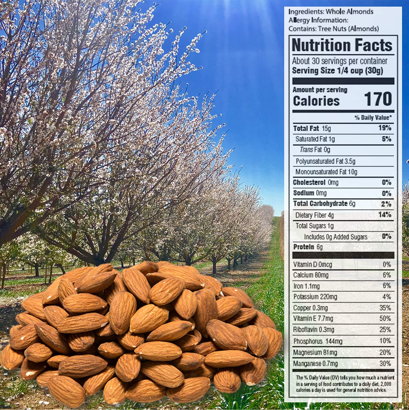 Mariani Nut Premium California Almonds, Gluten Free & Kosher Certified, 32oz Stand Up Bag - Whole Almonds (Pack of 1)