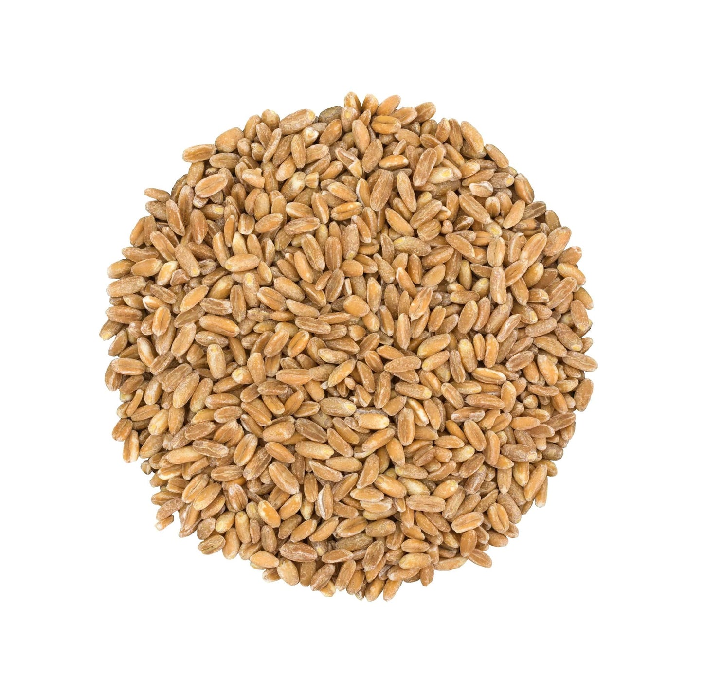 Food To Live Pearled Farro Grain, 8 Pounds - Kosher, Vegan, Whole Grain In Bulk, Good Source Of Dietary Fiber, Protein And Iron