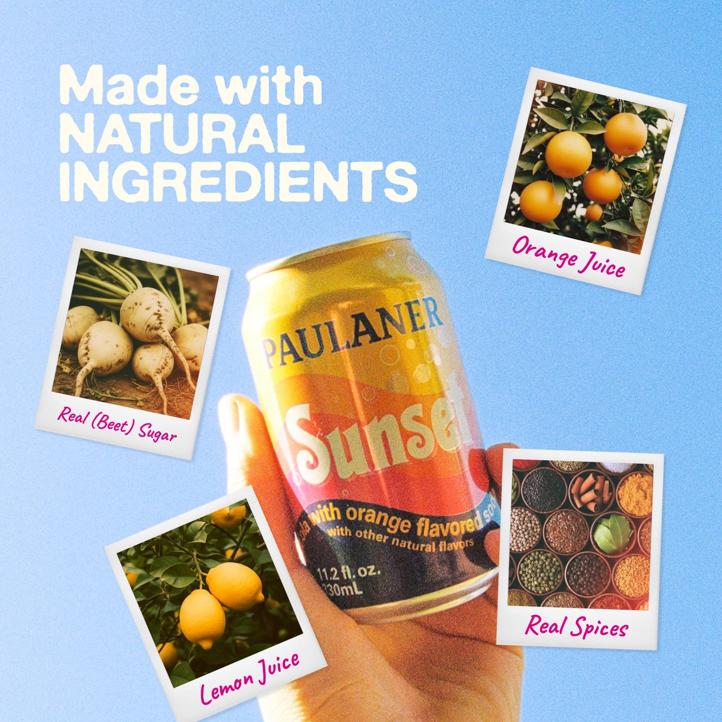Paulaner Sunset Classic Orange Cola Soda Soft Drink | Fruity European Natural Sugar Spezi Soda Made in Germany | Vegan and Gluten-Free | 11.2 fl oz (330mL) Cans | 24-Pack Case of Soda