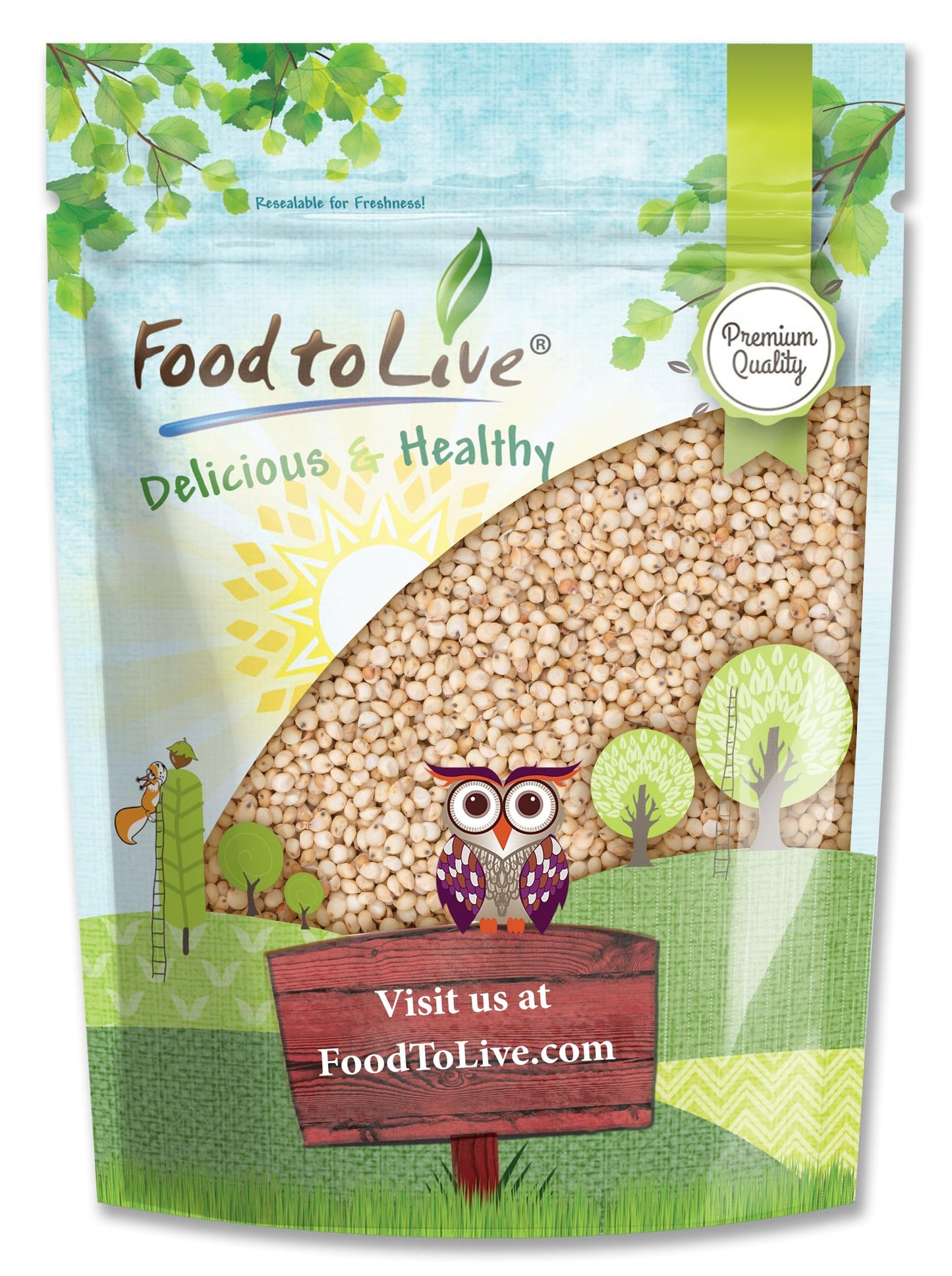 Food to Live Whole Grain Sorghum, 6 Pounds - Premium White Groats. Raw Milo Seeds. Vegan, Bulk Broom-corn. Durra is Great for Ma
