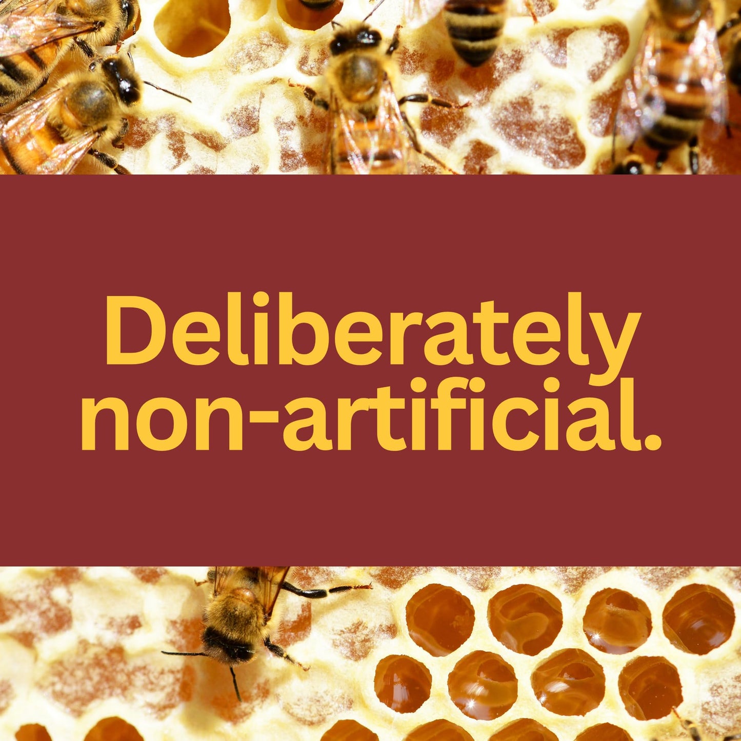 Elderberry Infused Raw Honey 16 Oz. (1 Pound) - All Natural - No Extract Or Concentrates, Non-Artificial, No Preservatives - Eld