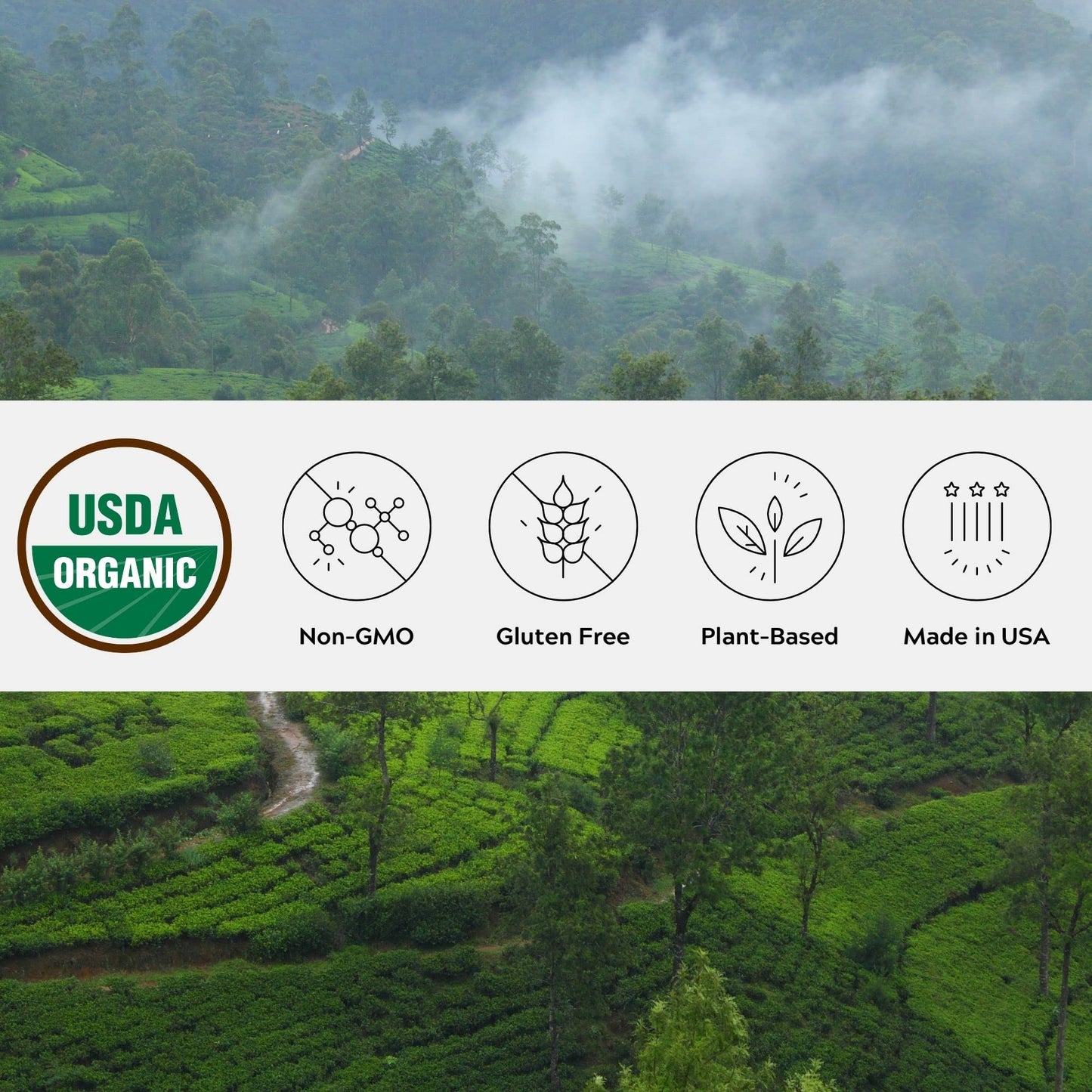 One Farm by WAAYB Organic Ceylon Cinnamon - Freshly Ground, Non-GMO, Fair-Trade, Gluten Free, Resealable Jar for Cooking and Beverages