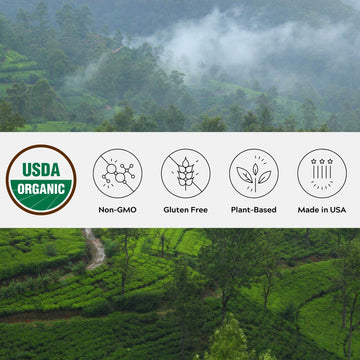 One Farm by WAAYB Organic Ceylon Cinnamon - Freshly Ground, Non-GMO, Fair-Trade, Gluten Free, Resealable Jar for Cooking and Beverages