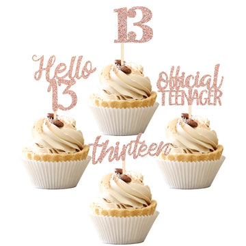 24 Pcs 13Th Birthday Cupcake Toppers Official Teenager Hello 13 Thirteen Cupcake Picks 13Th Birthday Cake Decorations Supplies R