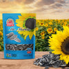 MR. MARTIN Freshly Roasted Salted Sunflower Seeds To Eat-Non-GMO, Crunchy, Delicious, Vegan, Kosher, Keto Friendly Snack- 5.25 O