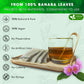 FRESHDRINKUS Premium Banaba Herbal Tea Bags, 100% Natural, 40 Count, Vegan, No Sugar, No Caffeine, Gluten-Free