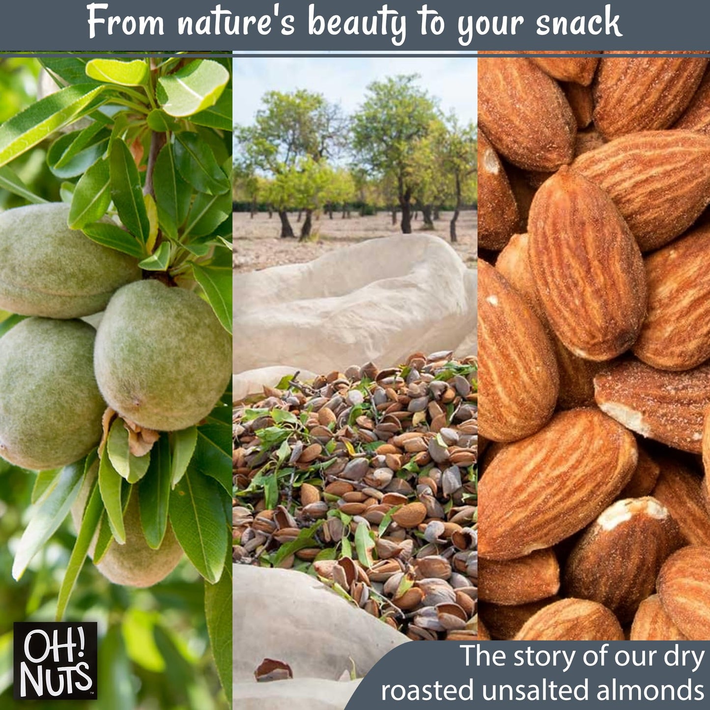 Almonds | Dry Roasted Unsalted Almonds | 5 Lb | No Salt, No Oil All-Natural Protein | Packed In New York Zip-Seal Bag For Exceptional Freshness By Oh Nuts