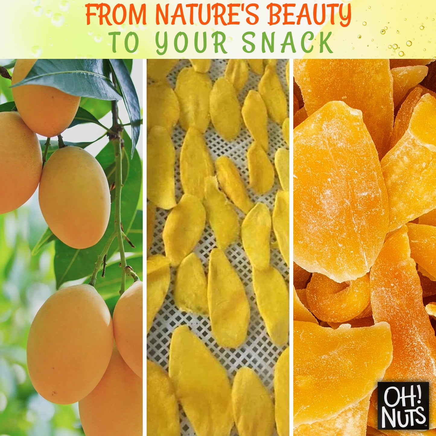 Dried Mango | 1 Lb - Dried Fruit Slices | Less Sugar Added | Dehydrated Fruit Bites | Packed In New York Zip-Seal Bag For Exceptional Freshness By Oh Nuts
