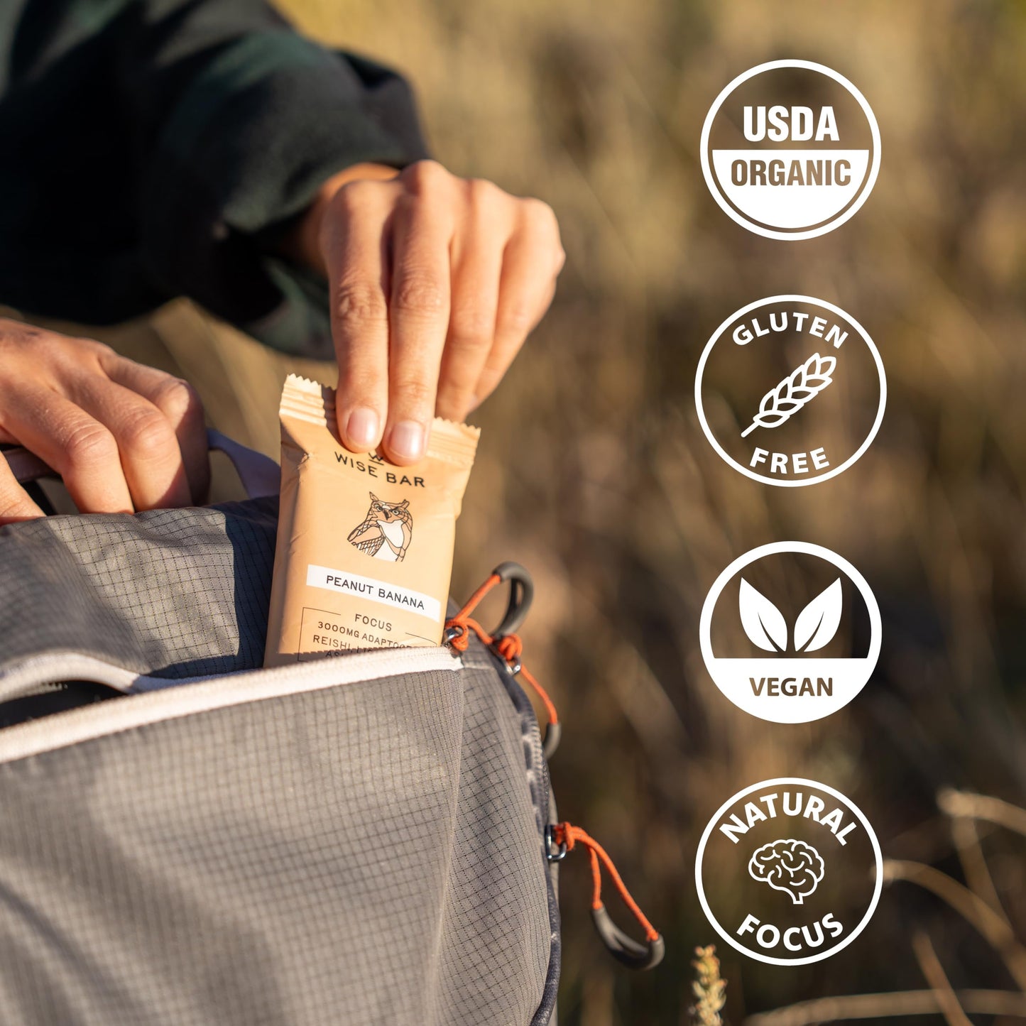 Wise Bar Adaptogen Mushroom Nutrition Bars With Reishi, Lions Mane & Ashwagandha, Organic Vegan & Gluten Free Snacks For Natural Focus, Energy & Immunity Support, Peanut Butter Banana, 12 Count