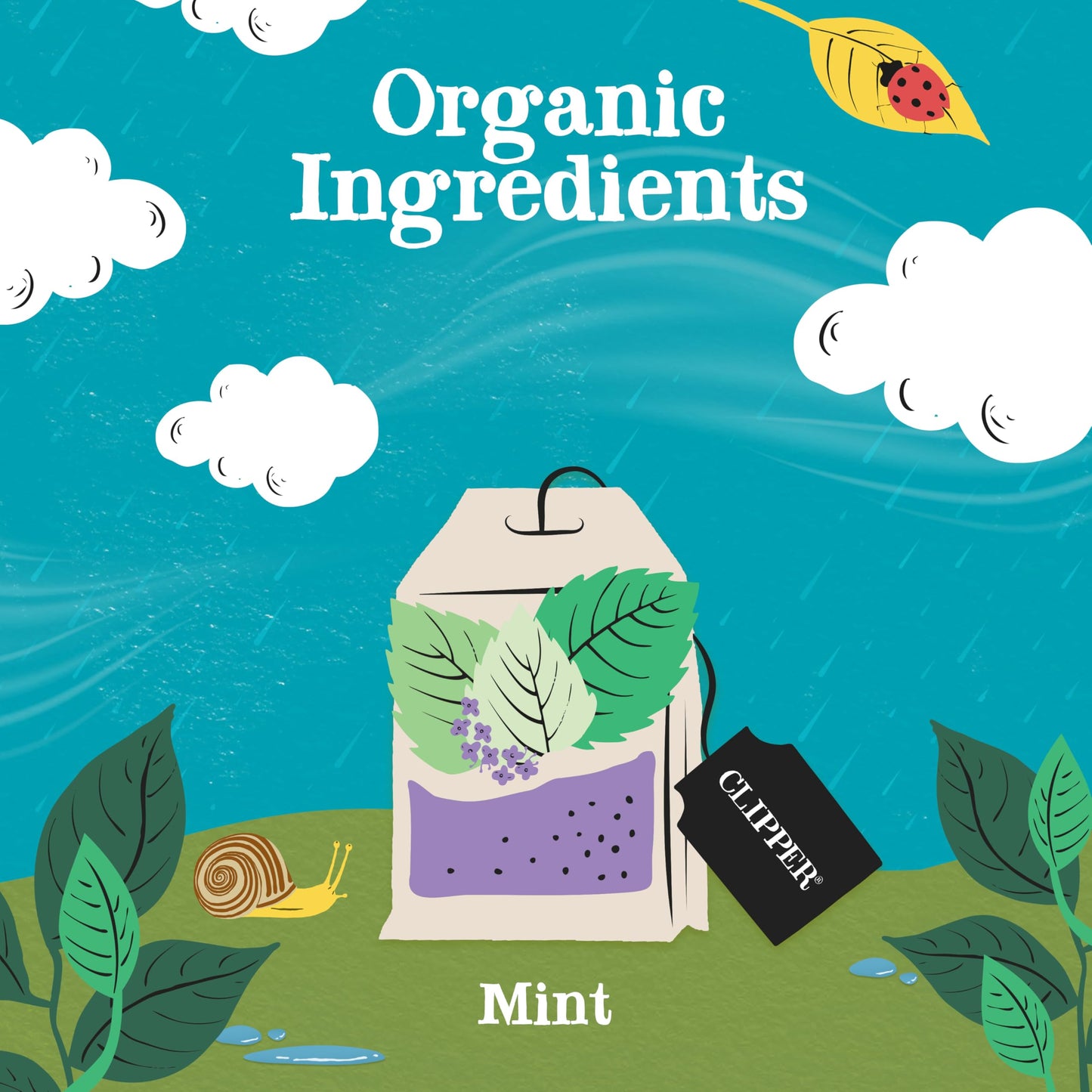 Clipper Tea Mint Herbal Teabags – Caffeine Free, USDA Organic, 200 Tea Bags, Great Hot or Iced, 50 Count (Pack of 4)