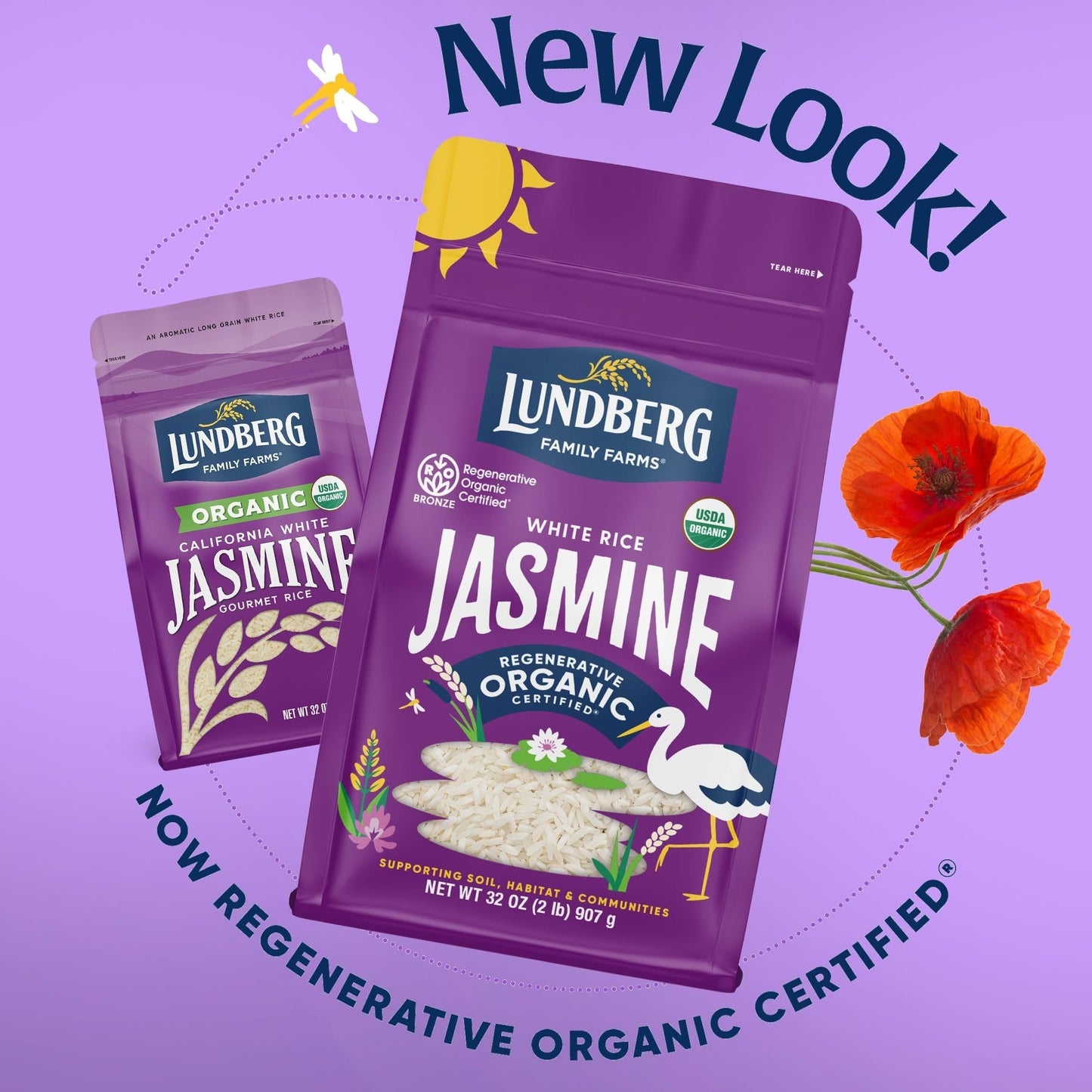 Lundberg Family Farms Organic Jasmine Rice, California White, 32 Ounce (Pack of 3)