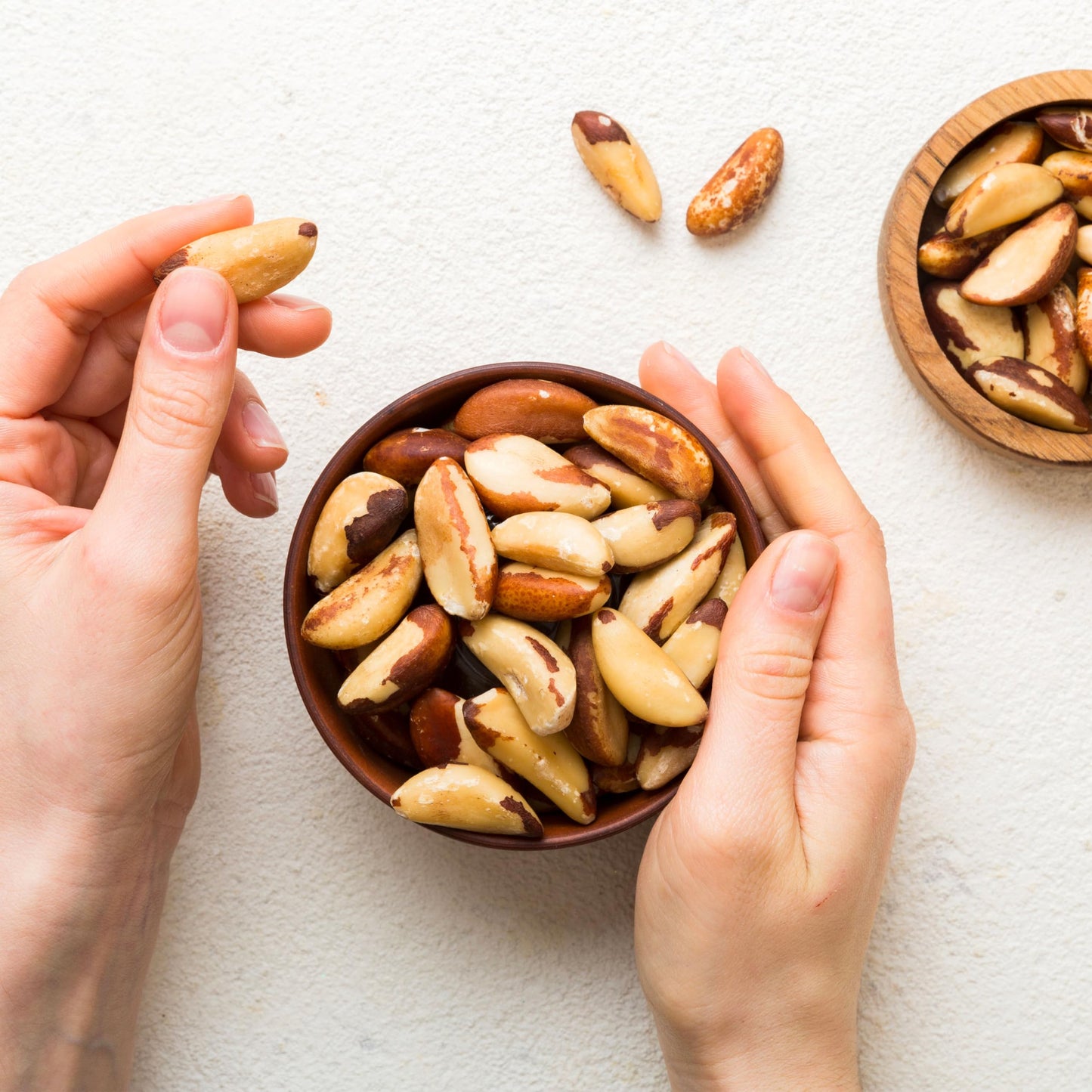 Elan Organic Raw Brazil Nuts, 6.5 oz - Whole, Non-GMO, Vegan, Gluten-Free, Kosher Healthy Snack Nuts