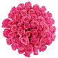 Benchmark Bouquets 50 Stem Premium Pink Roses - 2 Bundles of 25 - Fresh Flowers for Delivery - Gift for Any Occasion