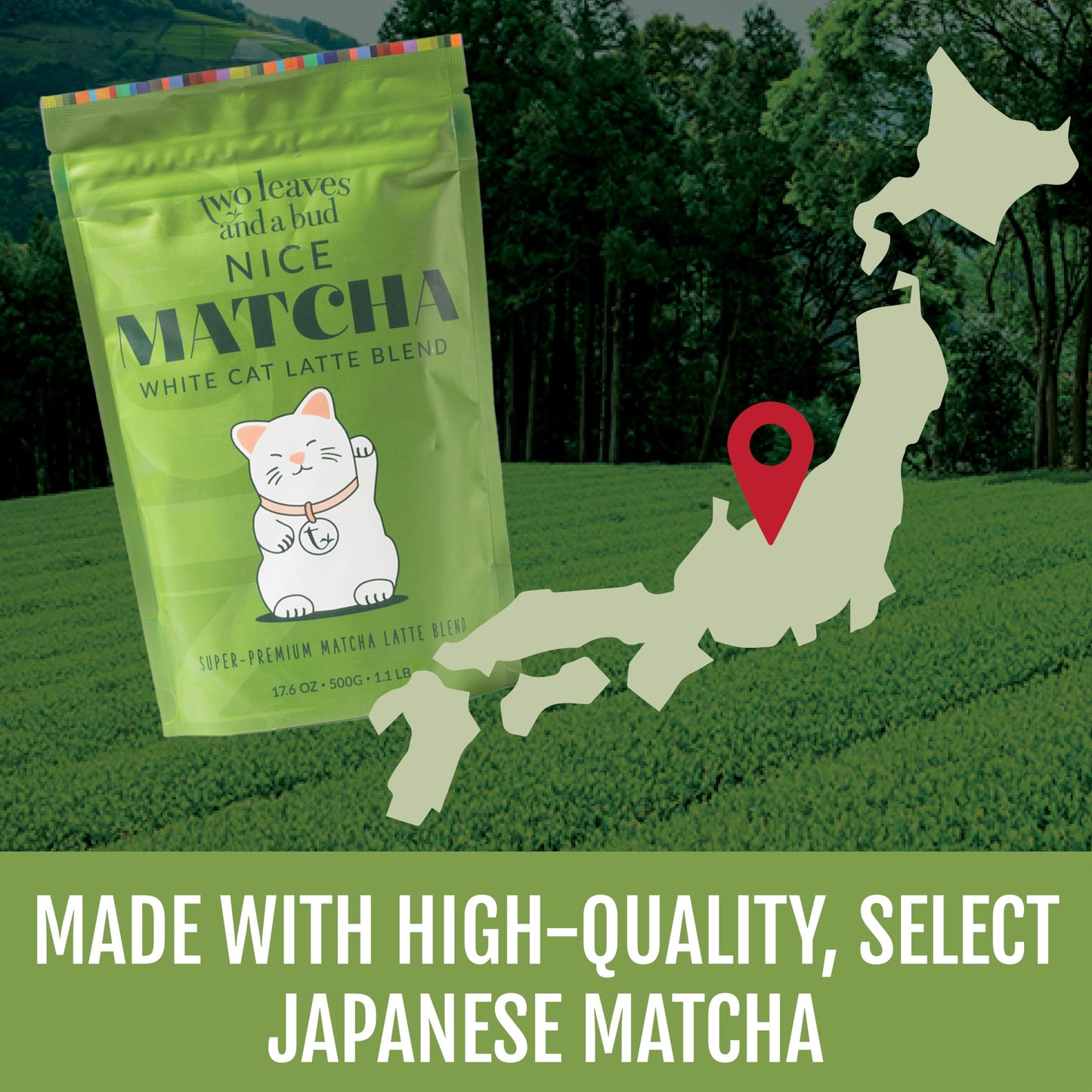 Two Leaves And A Bud Nice Matcha Latte Blend (36 Servings), Japanese Matcha Green Tea Powder, 1 Resealable Bag, 1.1Lb (500G)