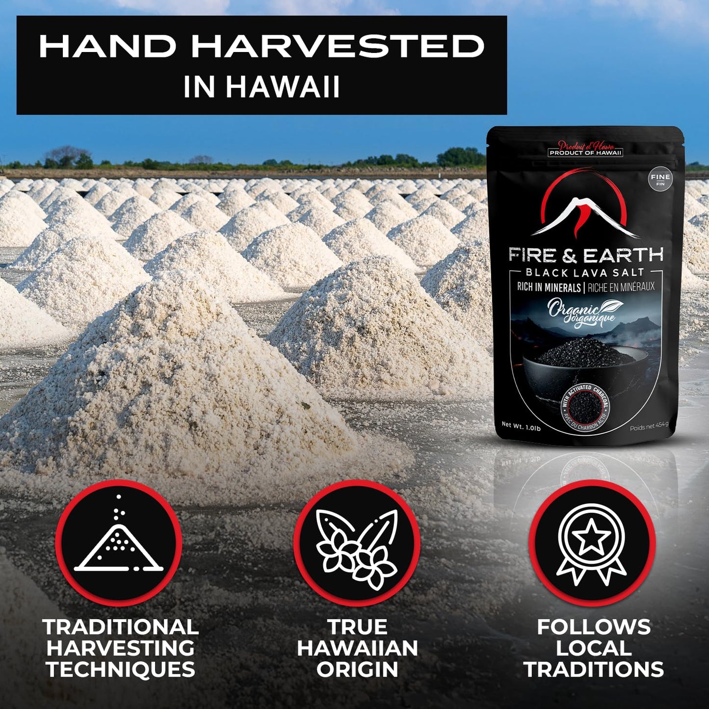 Fire & Earth Organic Black Lava Salt, Fine Grain, 16 Ounce, Gourmet Finishing Salt for Cooking and Seasoning