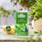 Ahmad Tea Mint Green Tea with Mint Leaves, 20 Count (Pack of 6), Model 751