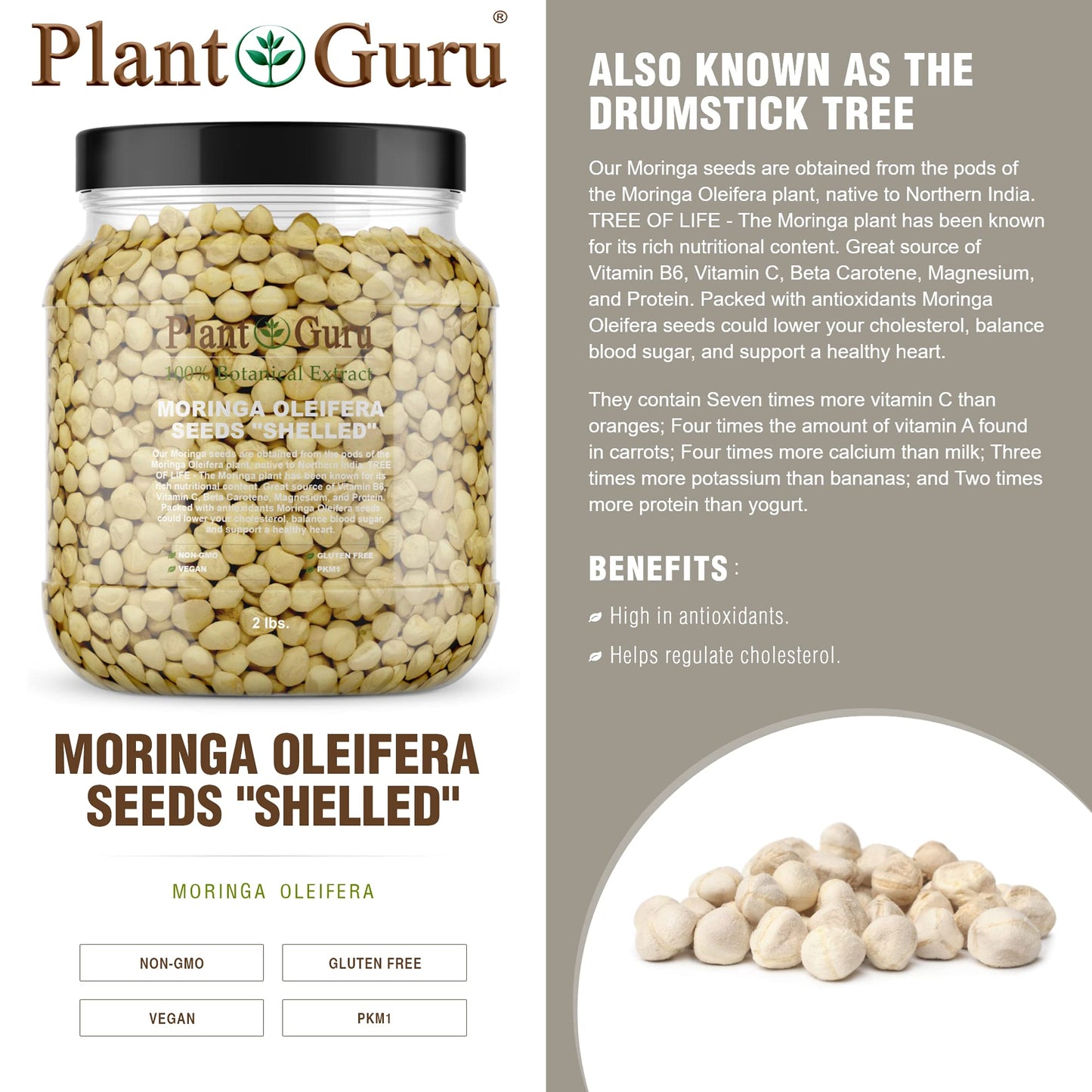 Plant Guru Moringa Seeds Kernel - Clean PKM1 Variety - 2 lbs. Wide Mouth Jar - Non-GMO - Brown