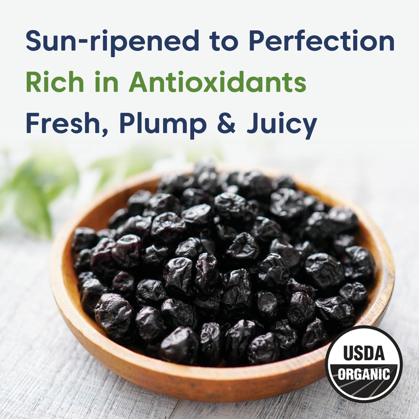Wilderness Poets, Oregon Blueberries (Sweetened with Apples) - Certified Organic, Whole Dried Fruit (2 Pound - 32 Ounce)