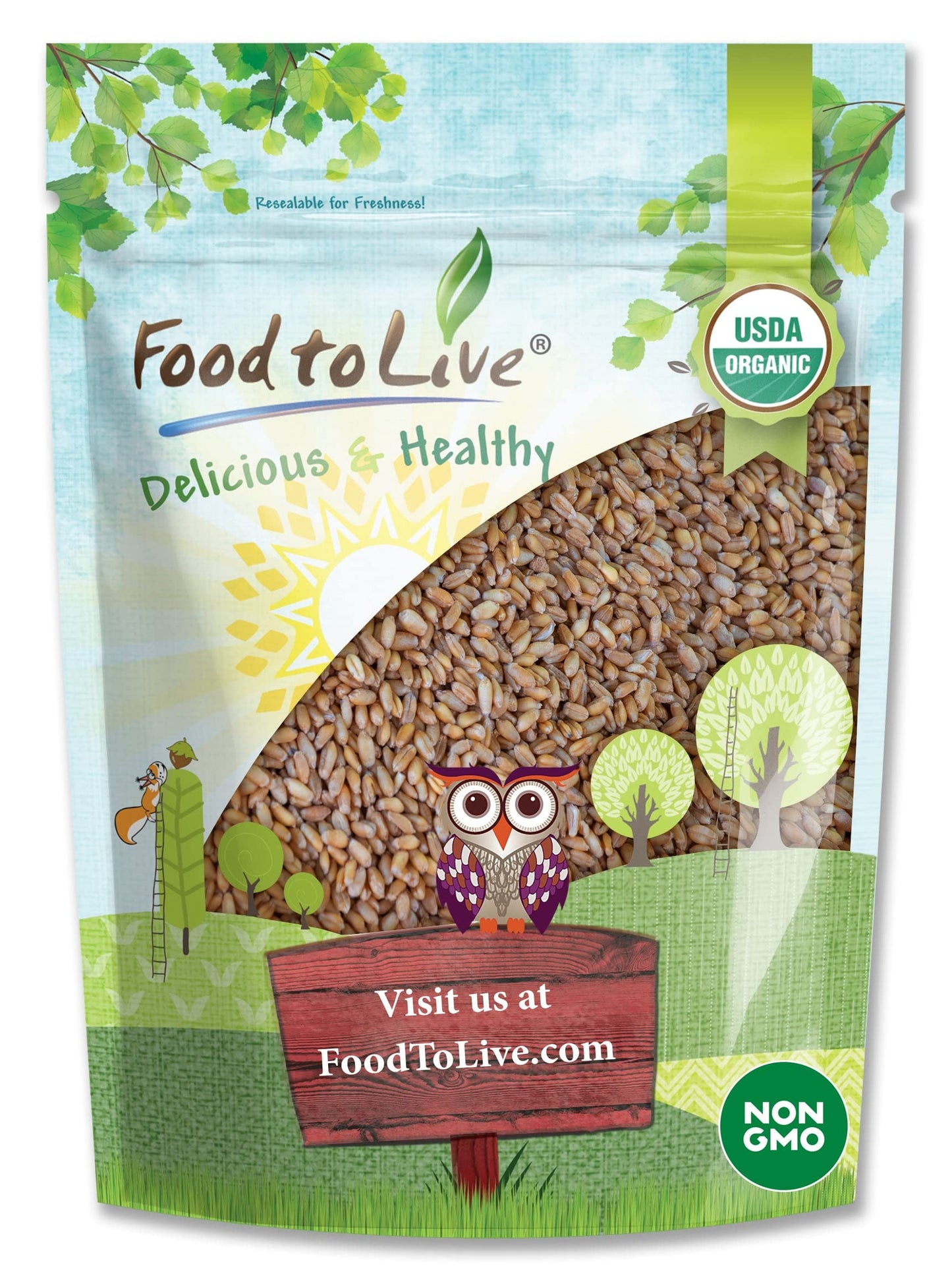 Food to Live Organic Hulled Barley - Non-GMO, Whole Grain, 1 Pound, Vegan, Kosher, High Fiber, Great for Chili and Salads