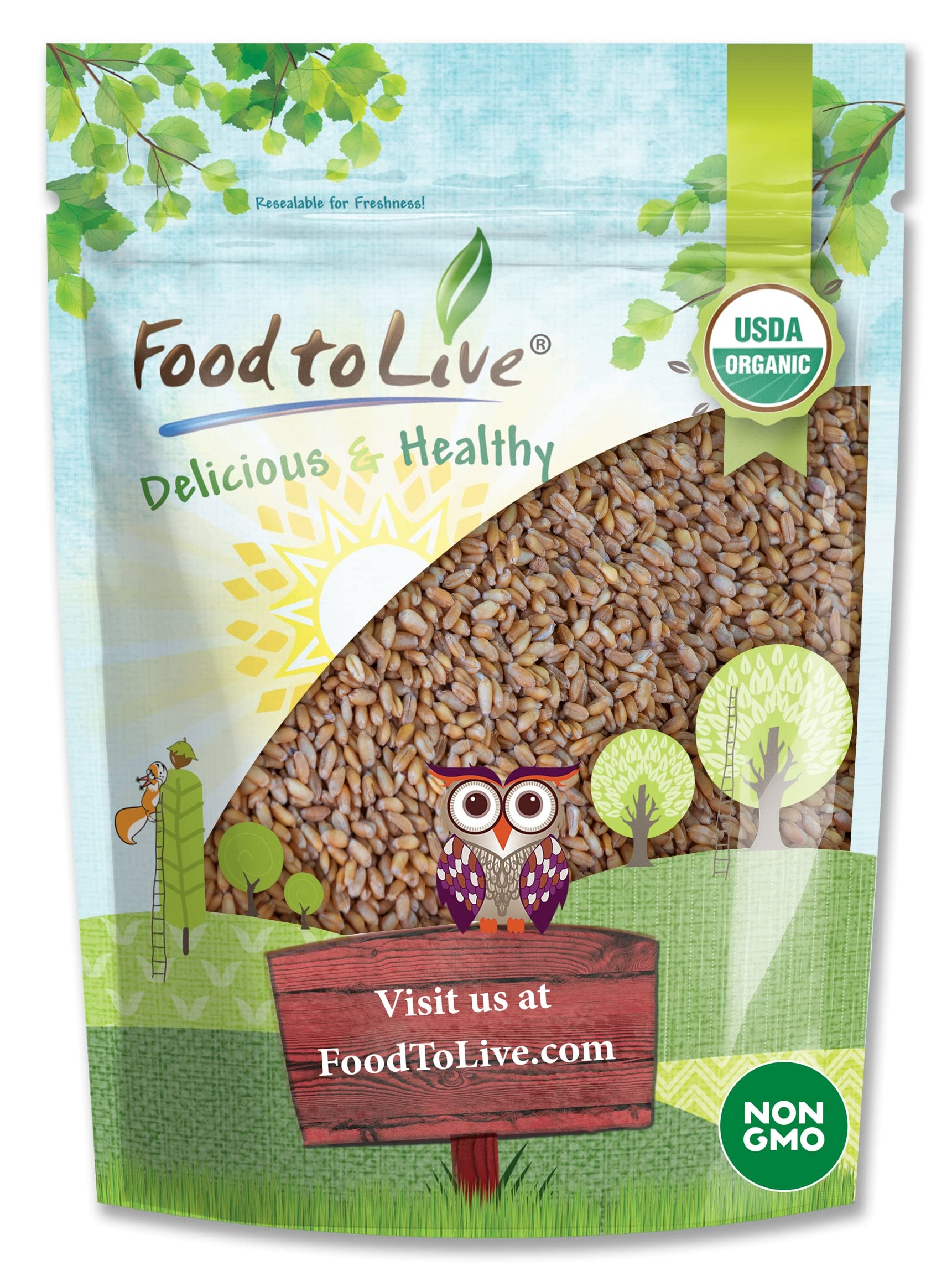Food to Live Organic Hulled Barley - Non-GMO, Whole Grain, 1 Pound, Vegan, Kosher, High Fiber, Great for Chili and Salads