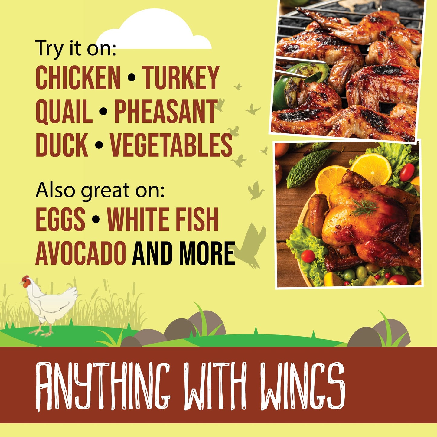 Flavor Seed Organic Poultry Seasoning, Anything With Wings, Carnivore & Keto Friendly Gourmet Dry Rub For Chicken Wings, Turkey,