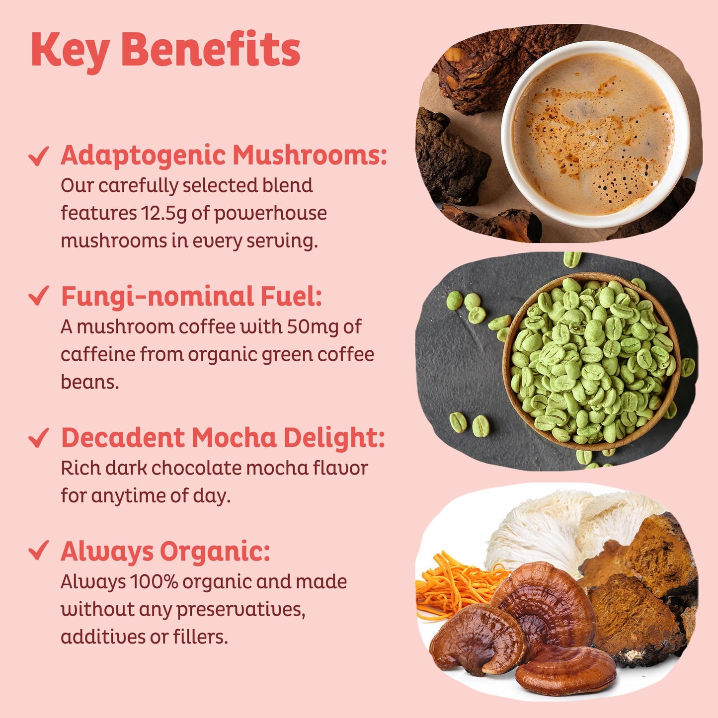 KOS Mushroom Coffee - USDA Certified Organic - Dark Chocolate Mocha Flavor - Mushroom Coffee Latte Powder with Reishi, Cordyceps