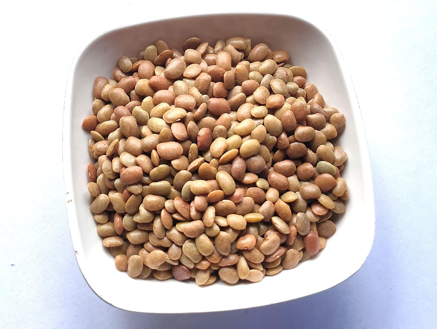 AYURVEDASHREE Kulthi Daal 50g | Gahat Dal | Horse Gram | High Fiber | 1.7 Ounce