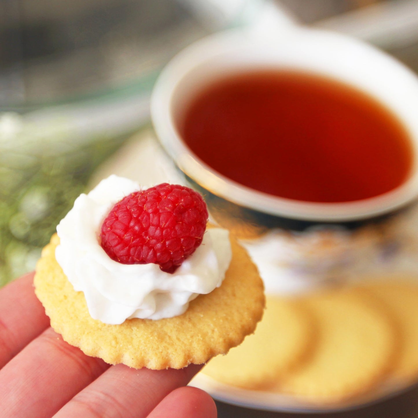 Deweys Bakery Meyer Lemon Moravian Style Cookie Thins, Bakery Fresh with Real Simple Ingredients, Low Calorie Snack, No Artific