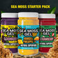 Biolore Sea Moss Gel - Wildcrafted Irish Sea Moss, Made in USA - Superfood with Essential Vitamins, Trace Minerals - Mango Pinea