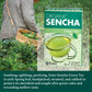 Eden Organic Sencha Green Tea, Japanese, Uji Cha, 16 Unbleached Manila Tea Bags/Box (12-Pack Case)