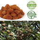 DABC OAK LAND Dried Longan 100% Fruit Meat, 8 Ounce, Sun Dried, Thai Style, Natural Snack