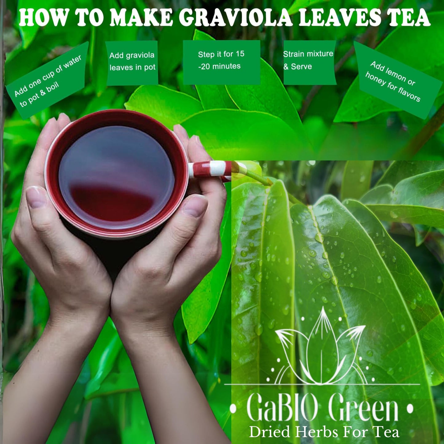 Gabio Green Soursop Leaves, Dried Herbs, Resealable Bag, 4.5 oz, Non-GMO, Gluten Free, Approx. 350 Leaves