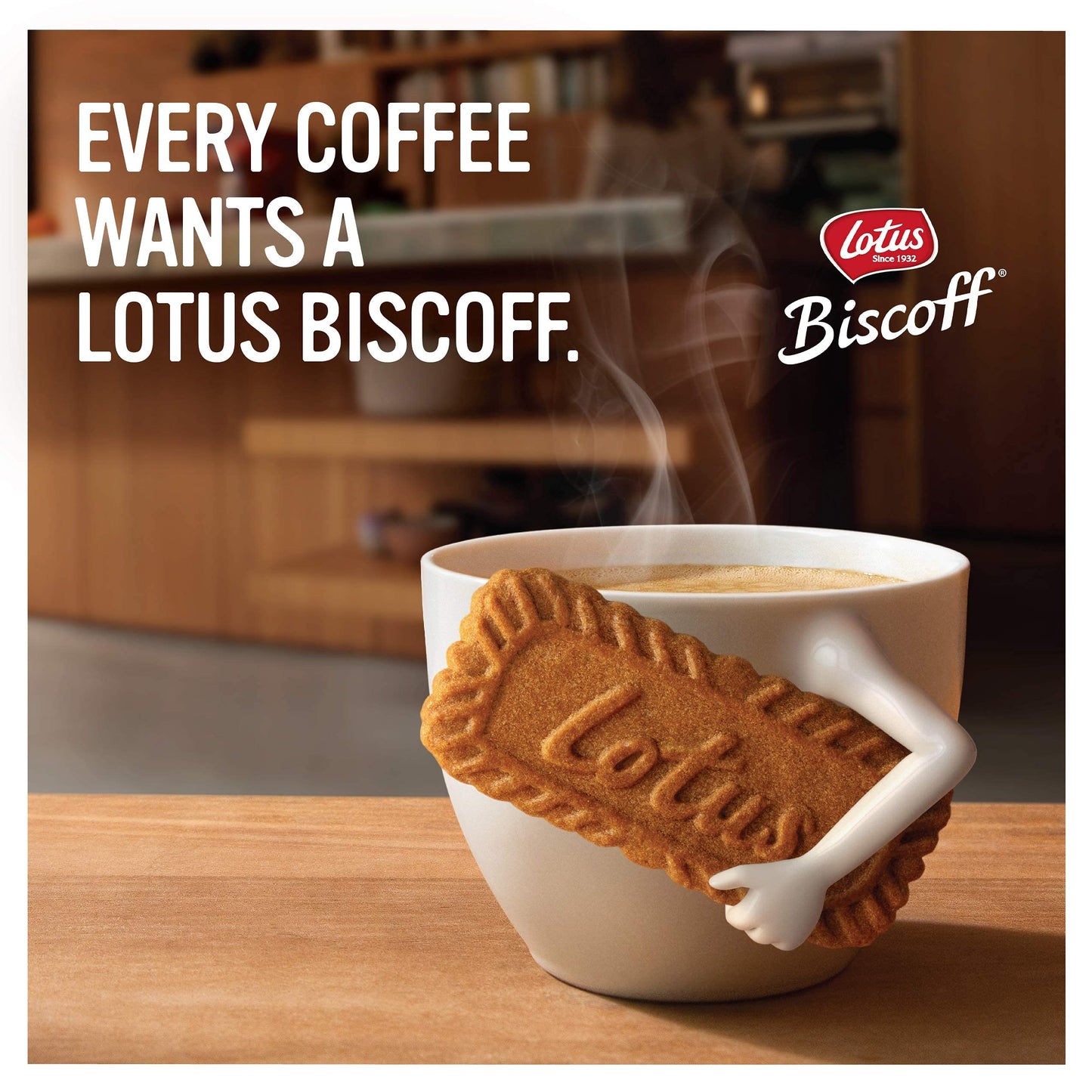 Lotus Biscoff, Caramelized Biscuit Cookies, Non Gmo + Vegan - 8.8 Ounce (Pack Of 10)