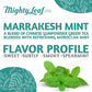 Mighty Leaf Tea Marrakesh Mint - 100 Foil Wrapped Tea Pouches - 100 Count
