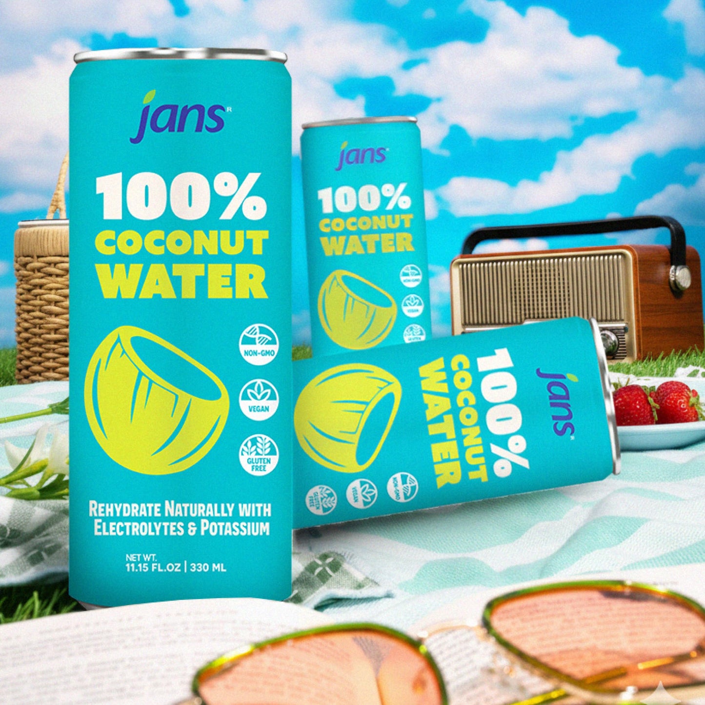 Jans 100% Coconut Water No Added Sugar 11.15oz (Pack of 12) Pure Coconut Refreshment, Vegan, Gluten-Free, Hydration with Electro