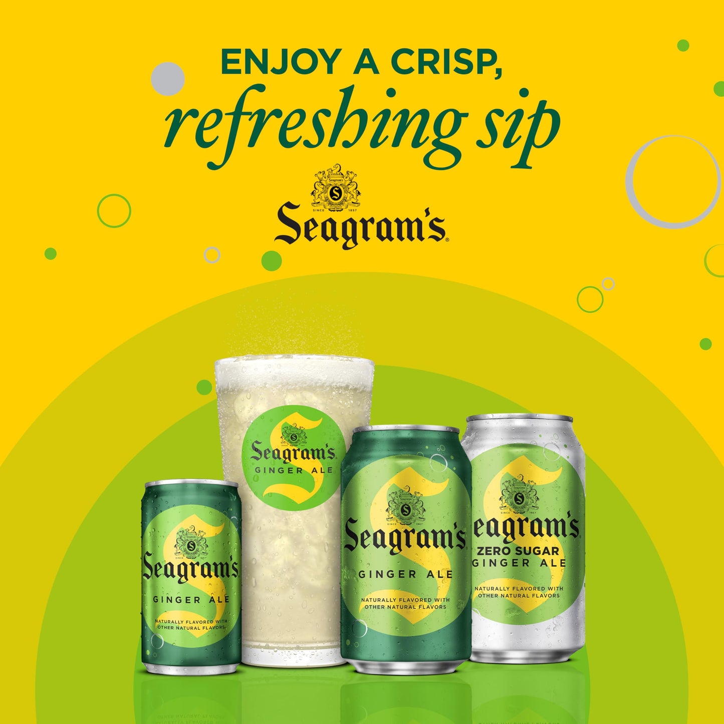 Seagrams Ginger Ale  7.5 fl oz  6 Count
