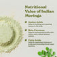 Better Alt Organic Moringa Powder, Green Superfood, 16 oz (1 lb), USDA Certified, Ideal for Smoothies, Teas, and Recipes