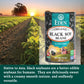 Eden Organic Black Soybeans, 15 Oz Can (6-Pack), Complete Protein, No Salt Added, Non-Gmo, Gluten Free, U.S. Grown, Heat And Serve, Macrobiotic, Soy Beans