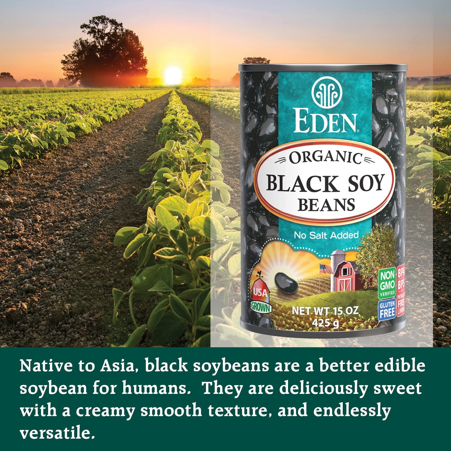 Eden Organic Black Soybeans, 15 Oz Can (6-Pack), Complete Protein, No Salt Added, Non-Gmo, Gluten Free, U.S. Grown, Heat And Serve, Macrobiotic, Soy Beans