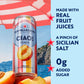 Sanpellegrino Ciao Peach Sparkling Water, Low-Calorie Italian Sparkling Water With Real Fruit Juices, 0G Added Sugar, 24-Pack