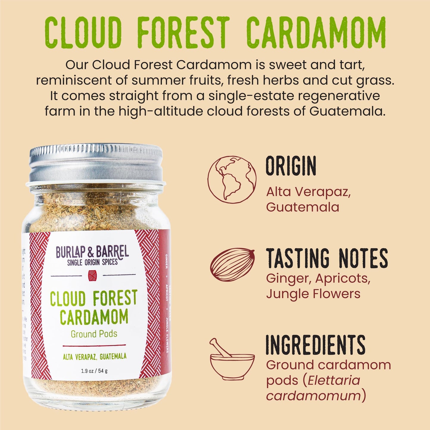 Burlap & Barrel Cardamom Pods - Sweet & Tart Flavor Notes - 1.9oz Glass Jar