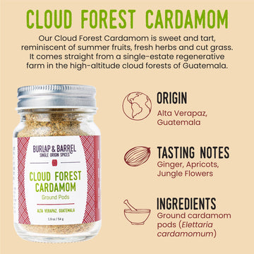 Burlap & Barrel Cardamom Pods - Sweet & Tart Flavor Notes - 1.9oz Glass Jar
