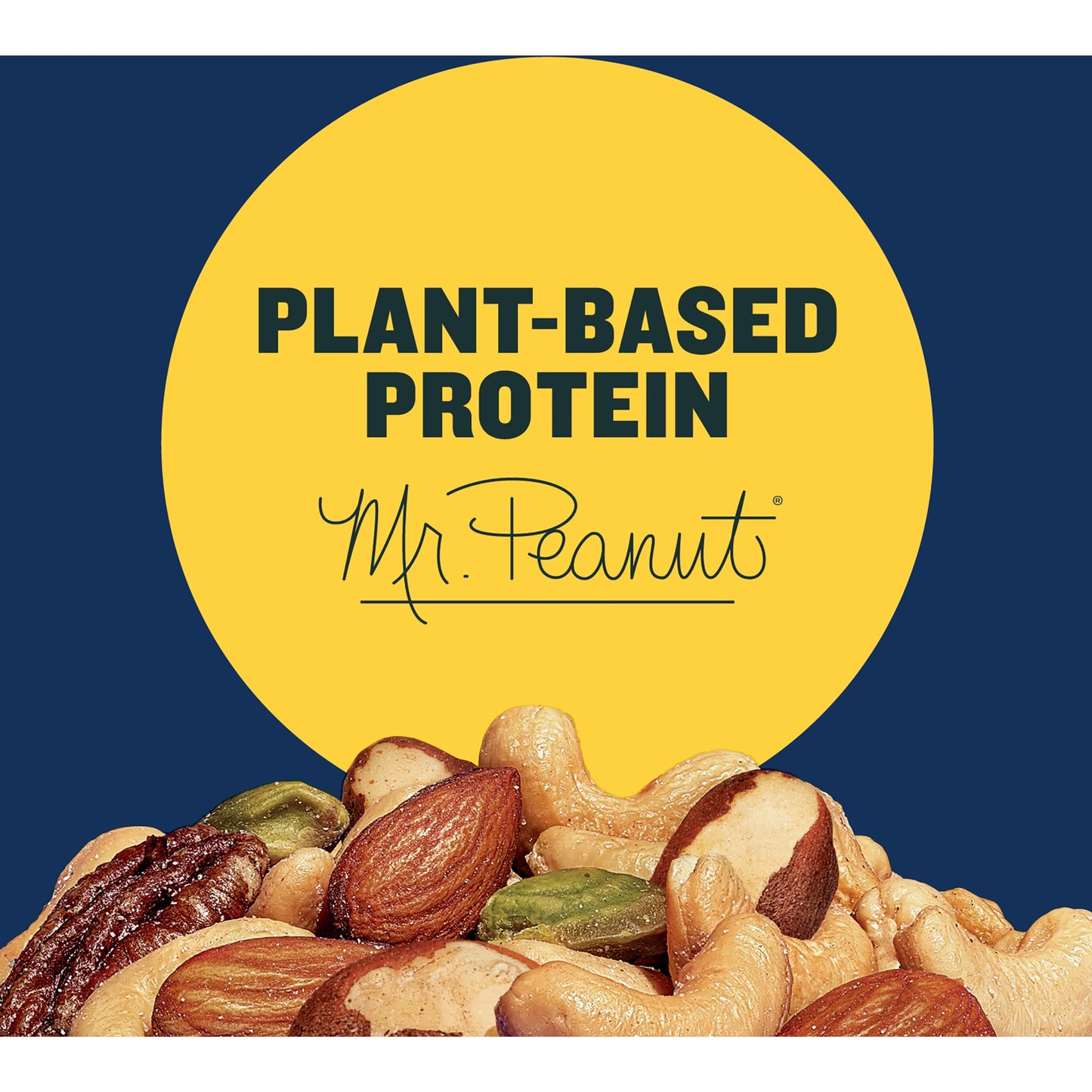 PLANTERS Deluxe Mixed Nuts - Roasted Cashews, Almonds, Brazil Nuts, Pistachios, Pecans, 15.25oz Canister