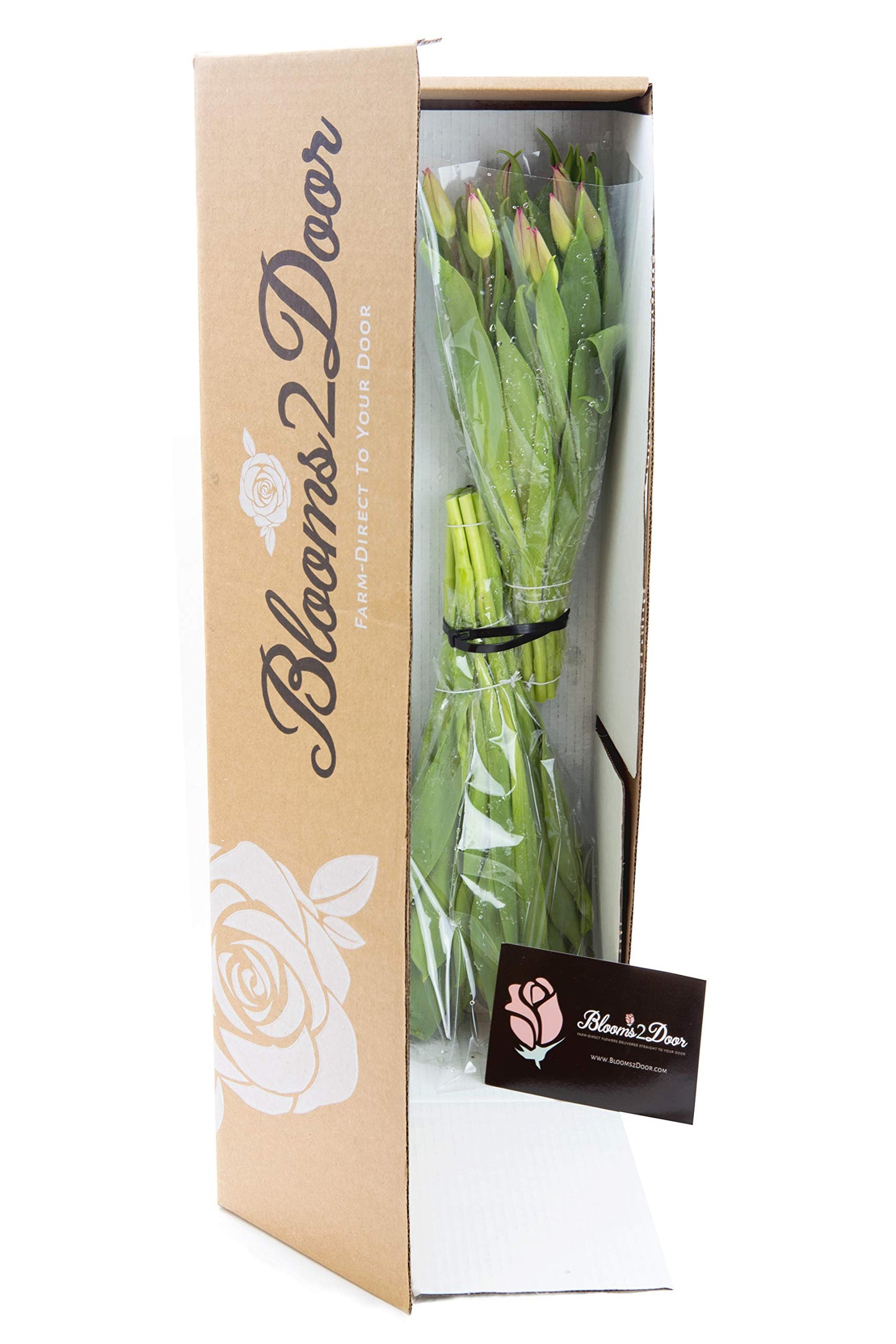 Blooms2Door Fresh Flowers - Fall Collection Red Tulips - 20 Stems - Gift for Birthday, Sympathy, Anniversary, Valentines Day