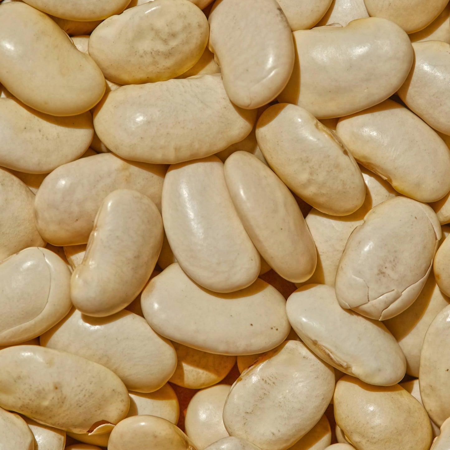 SIMPLi Organic Gigantes Beans, Dried White Beans, High Fiber, Buttery Flavor, 12 oz