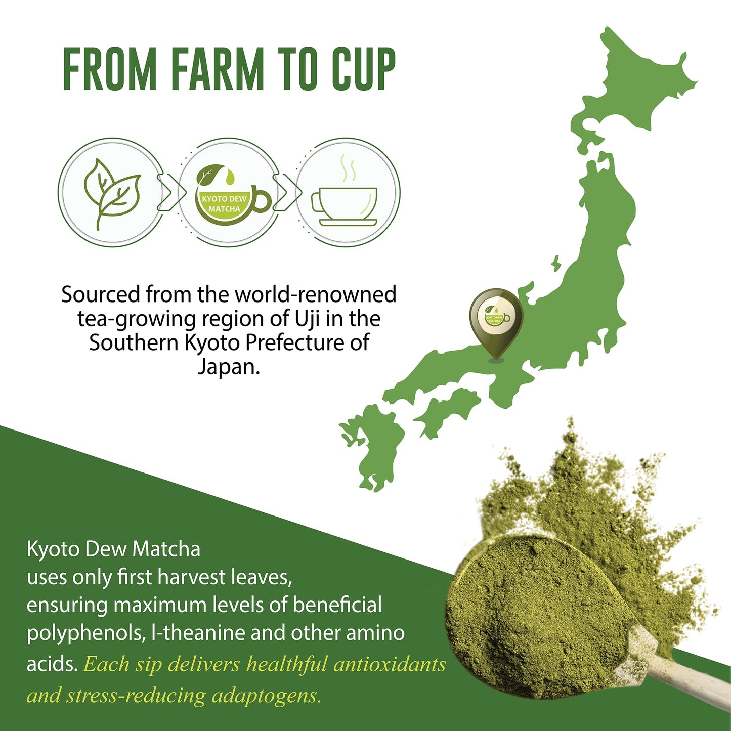 Kyoto Dew Matcha Organic Ceremonial Japanese Matcha Green Tea Powder – 7 oz – Stone-Ground, First Harvest