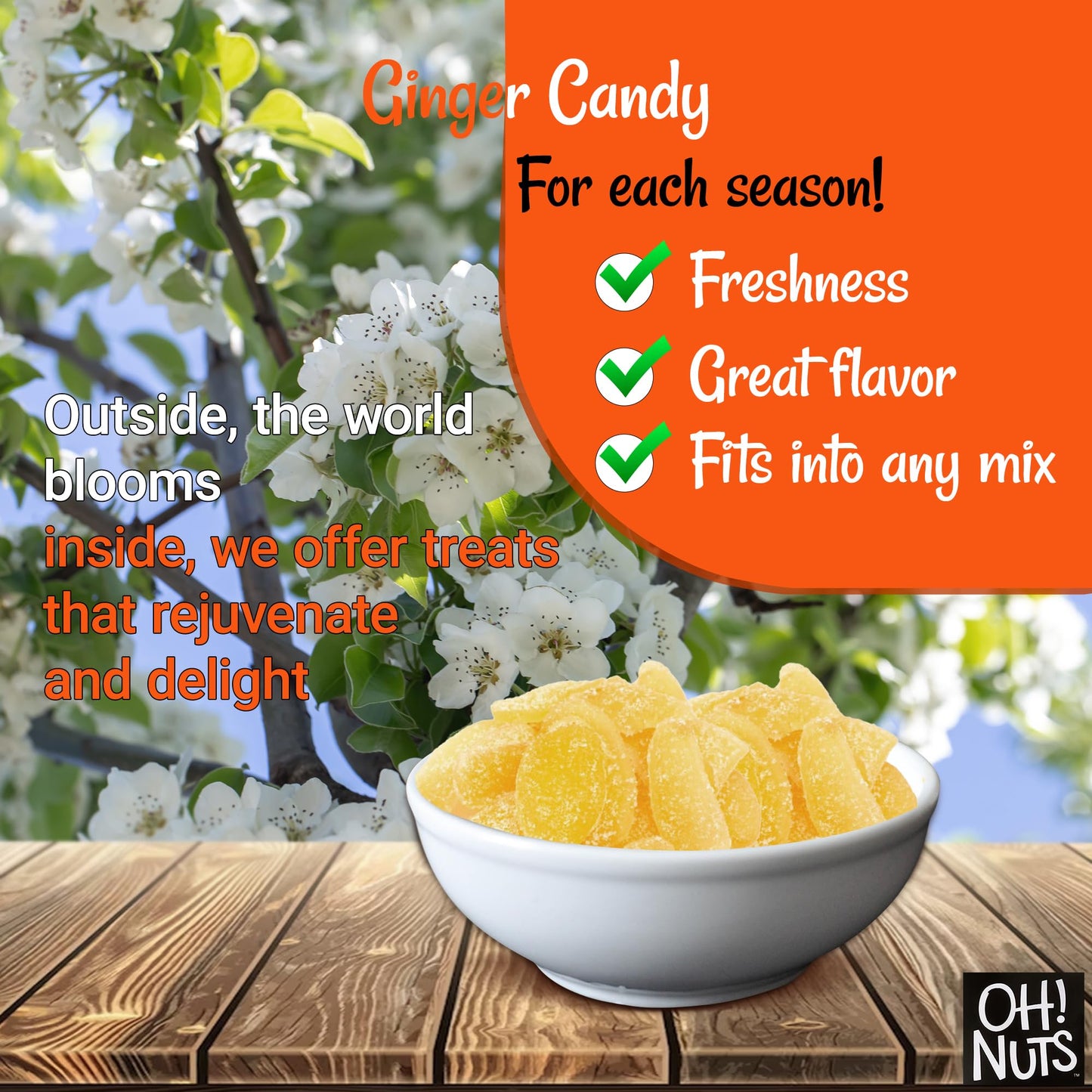 Ginger Candy | 1 lb - Dried Fruit Slices | with Crystallized Sugar Candied Coating | Dehydrated Fruit Bites | Packed in New York