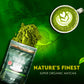 GOLDEN HERBS Matcha Green Tea Powder, USDA Organic, 100% Pure, Gluten-Free Vegan, Culinary Quality, 30 Grams, Resealable Pouch